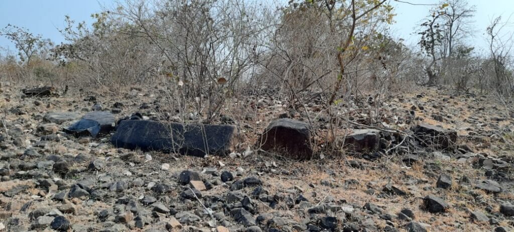 3 हजार साल पुराने खैरवाड़ा के रहस्य को उजागर करने की दरकार: पर्यटन केंद्र की मांग फिर हुई तेज