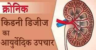 आयुर्वेद के माध्यम से क्रोनिक किडनी (CKD) रोग का उपचार